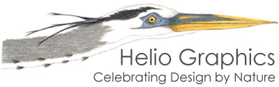 Helio Graphics