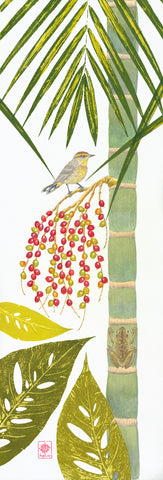 In the Treetops Series: Cuban palm warbler and Tree frog