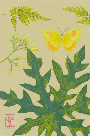 Papaya and Sulphur butterfly