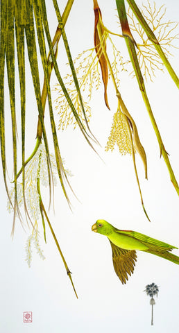 Parrot and Washingtonian Palm