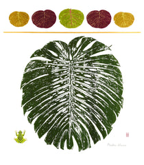 Monstera deliciosa leaf with Seagrape leaves and tree frog