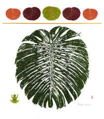 Monstera deliciosa leaf with Seagrape leaves and tree frog