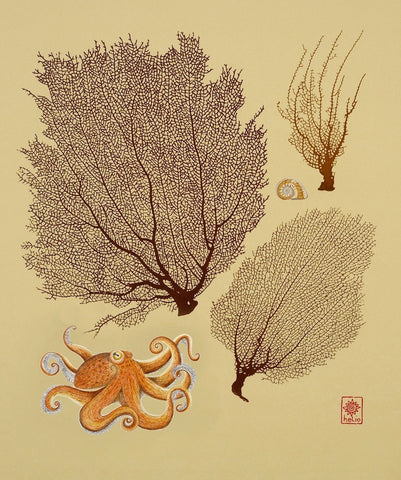 Octopus, Moon Snail and Sea fans / Spirals