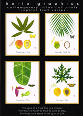 Papaya: Tropical Fruit Nature Study
