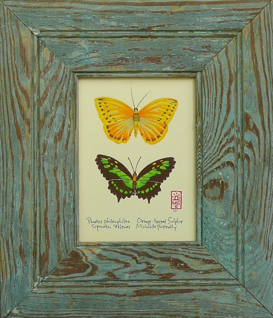 Tropical Butterflies Wood Framed Prints