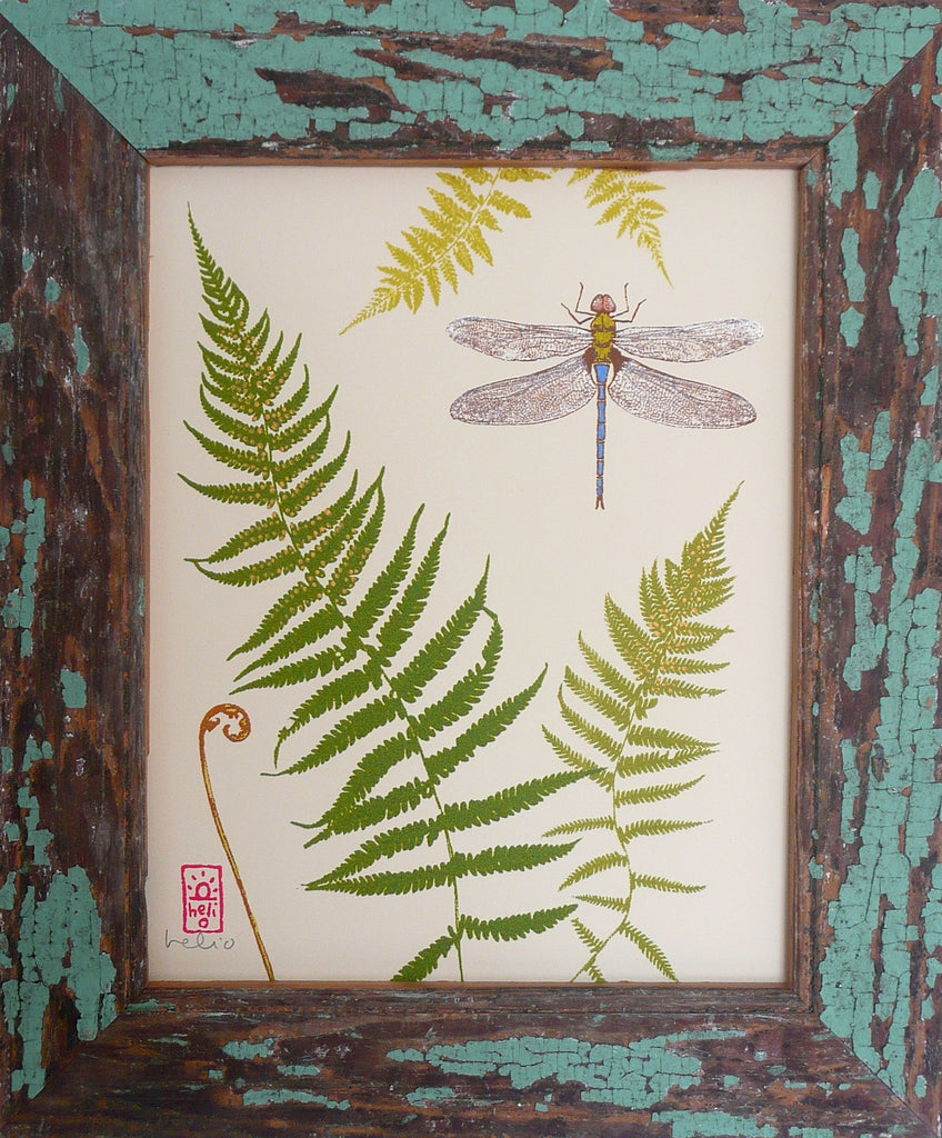 Dragonfly and ferns / Wood framed print