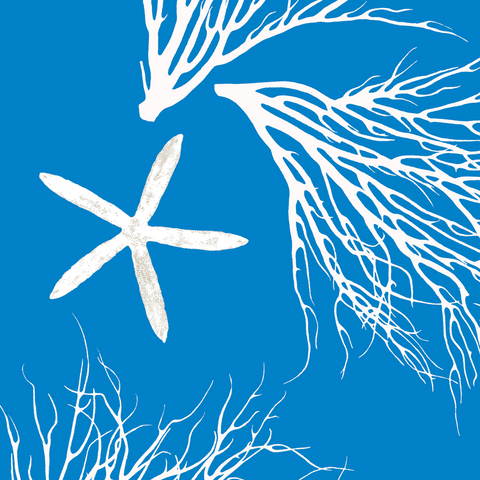 Fabric: Coastal Coral and Starfish- white on Bahama blue with sea stars