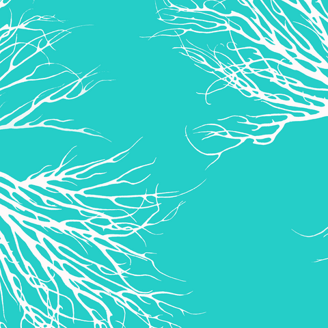 Fabric: Coastal Coral - white on turquoise