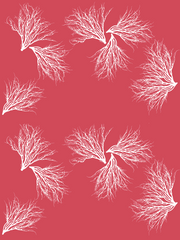 Fabric: Coastal Coral - white on soft red