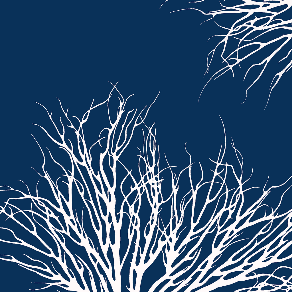 Fabric: Coastal Coral - white on ocean blue