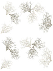 Fabric: Coastal Coral - sand and stone on white