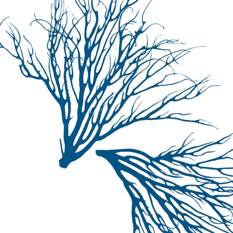 Fabric: Coastal Coral - ocean blue on white