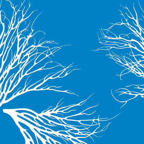 Fabric: Coastal Coral - white on bahama blue
