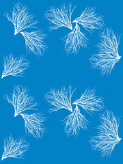 Fabric: Coastal Coral - white on bahama blue
