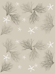 Fabric: Coastal Coral and Starfish - stone, dark stone on sand with sea stars