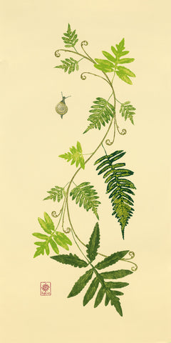 Fanciful Fern and Fiddlehead Vine Print