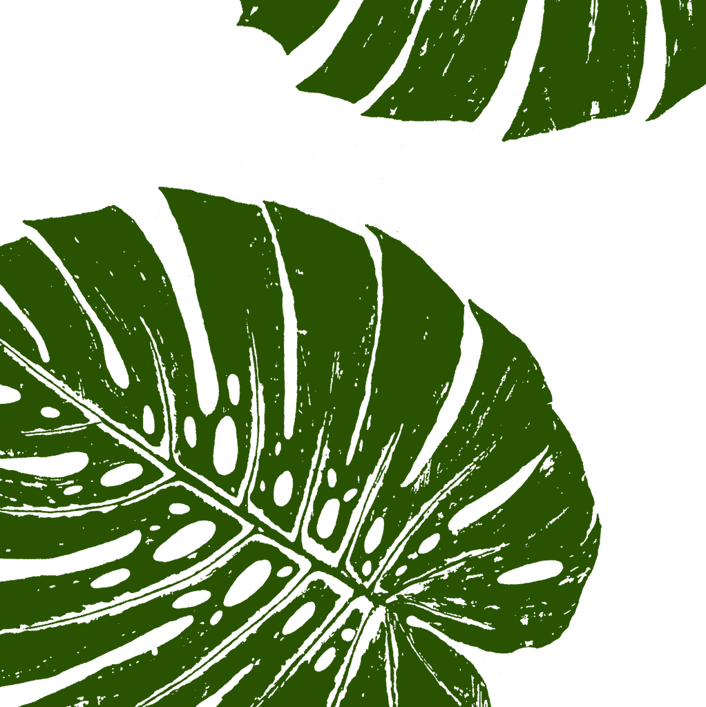 monstera plant graphic Fabric: Tropical Monstera leaves