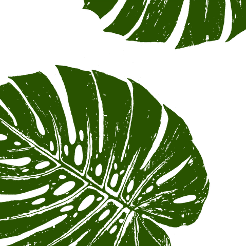 Fabric: Tropical Monstera leaves - jungle green on white
