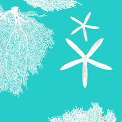 Fabric: Sea fans and Starfish - white on turquoise with sea stars