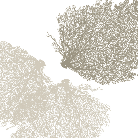 Fabric: Sea fans - sand and stone on white