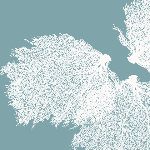 Fabric: Sea fans - white on antique blue