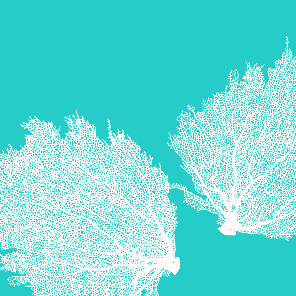Fabric: Sea fans - white on turquoise