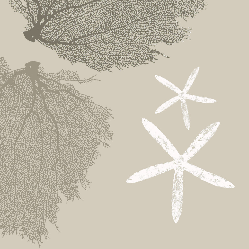 Fabric: Sea fans - stone and dark stone on sand with white starfish
