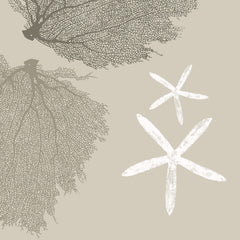 Fabric: Sea fans - stone and dark stone on sand with white starfish