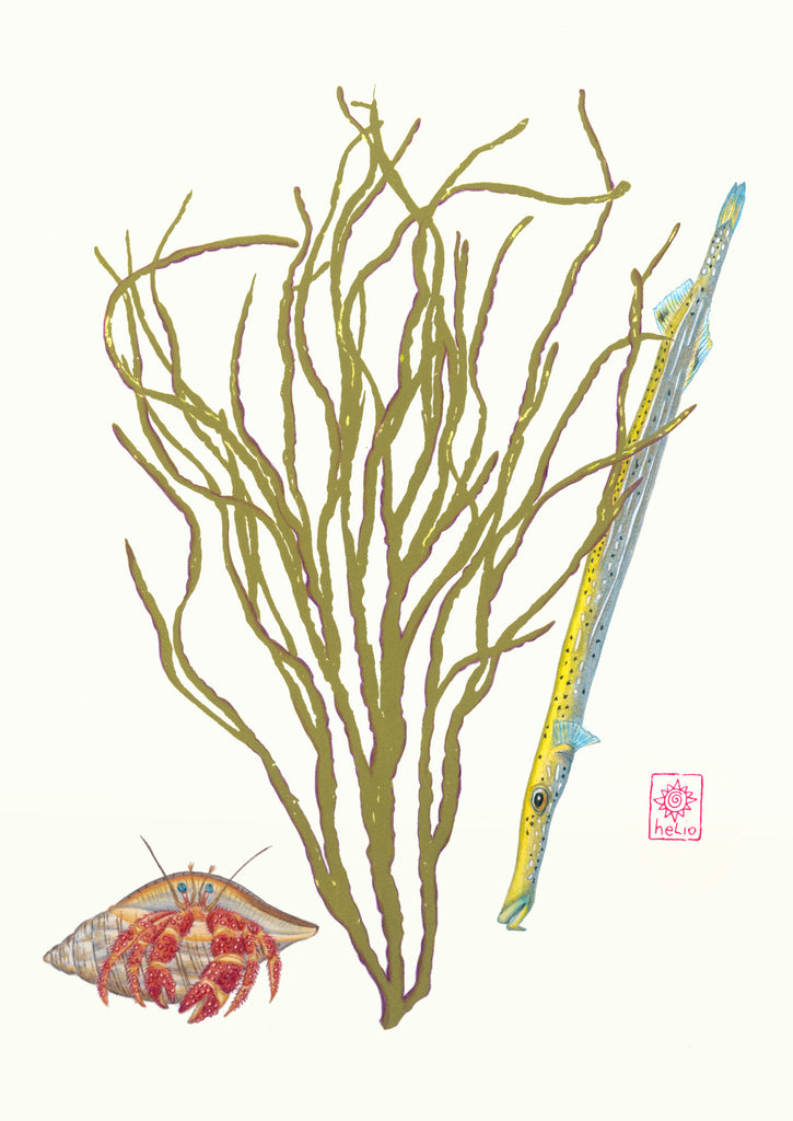 Hiding out and Hanging in there ~ Original art print