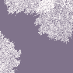 Fabric: Sea fans - white on antique purple