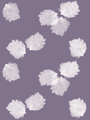 Fabric: Sea fans - white on antique purple