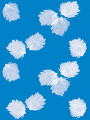 Fabric: Sea fans - white on bahama blue
