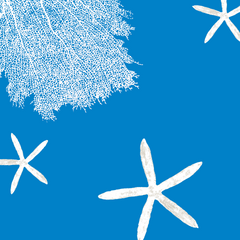Fabric: Sea fans - white on bahama blue with sea stars