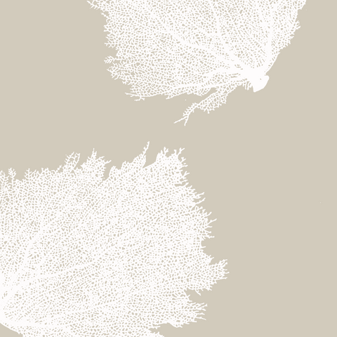 Fabric: Sea fans - white on sand