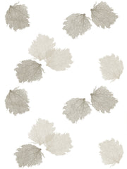 Fabric: Sea fans - sand and stone on white