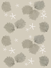 Fabric: Sea fans - stone and dark stone on sand with white starfish