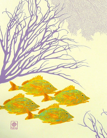 Blue-striped Grunts and Purple Corals (left print)