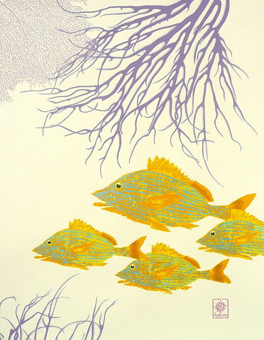 Blue-striped Grunts and Purple Corals (right print)