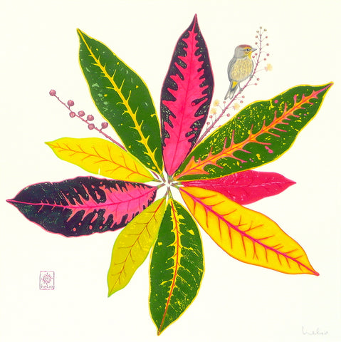 Colorful Croton and Palm Warbler