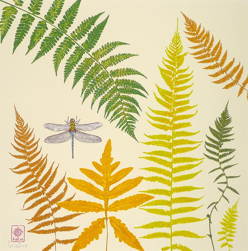 Fall Ferns