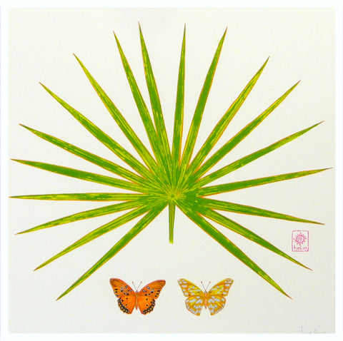 Fan palm and butterflies