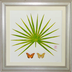 Fan palm and butterflies