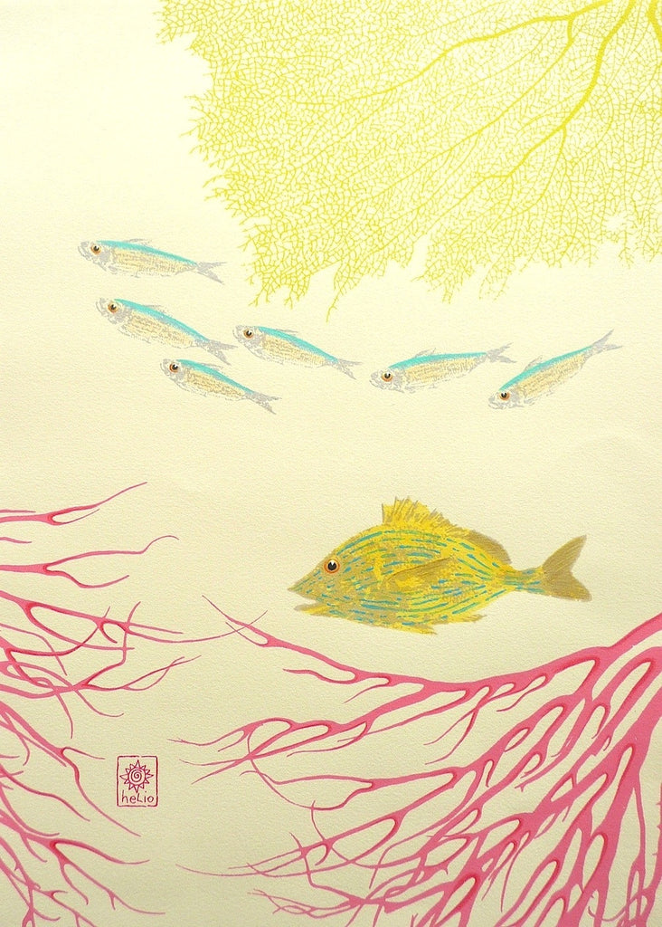 Summer Series: Silversides and Fish