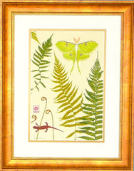 Luna Moth Magic ~ Original