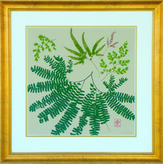 Magical Maidenhair Ferns