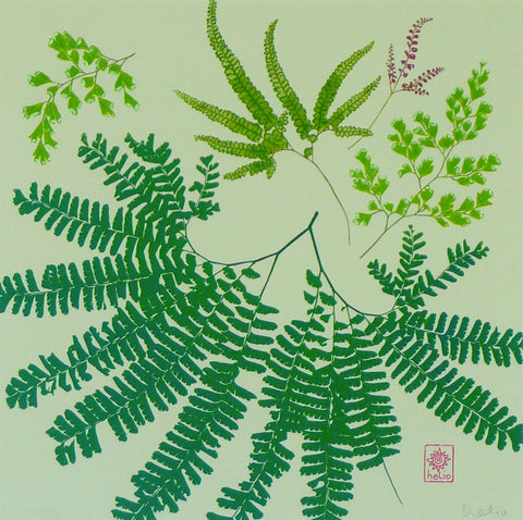 Magical Maidenhair Ferns