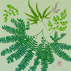 Magical Maidenhair Ferns