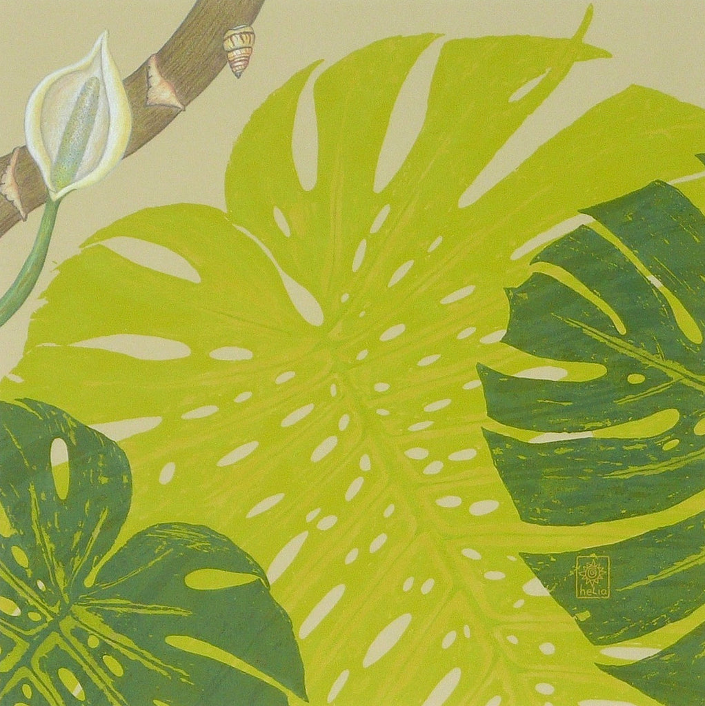 monstera plant graphic Jungle Vine Series: Monstera – Helio Graphics