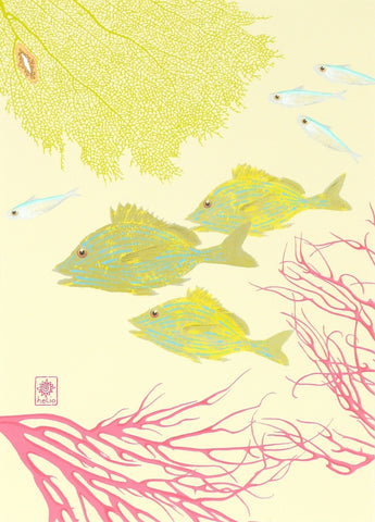 Summer Sea Series / center print