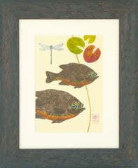 Sunfish and Water lilies: center print